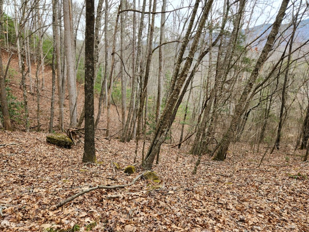 0 Bear Back Ridge LOT 21