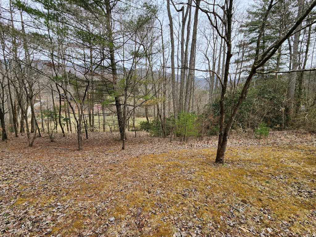 0 Bear Back Ridge LOT 21