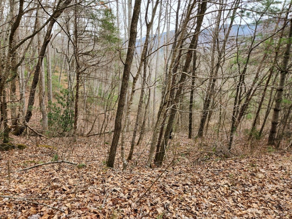 0 Bear Back Ridge LOT 21