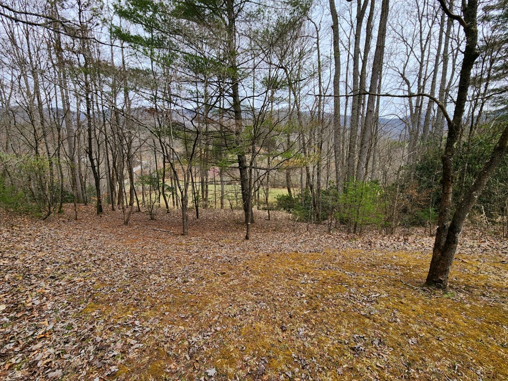 0 Bear Back Ridge LOT 21