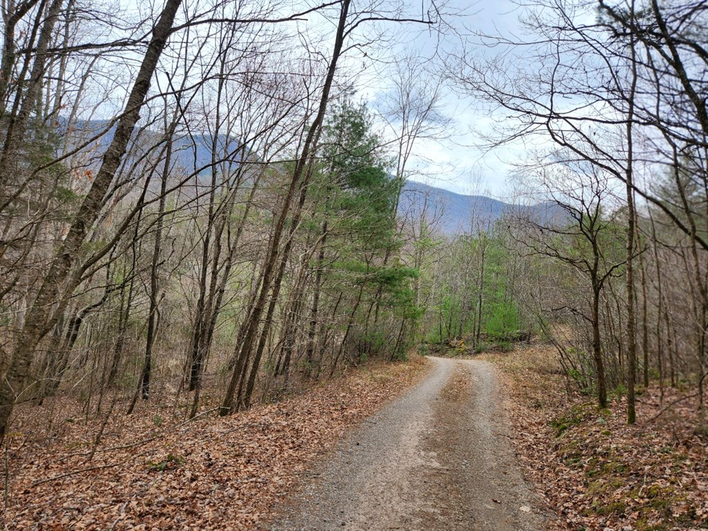 0 Bear Back Ridge LOT 21