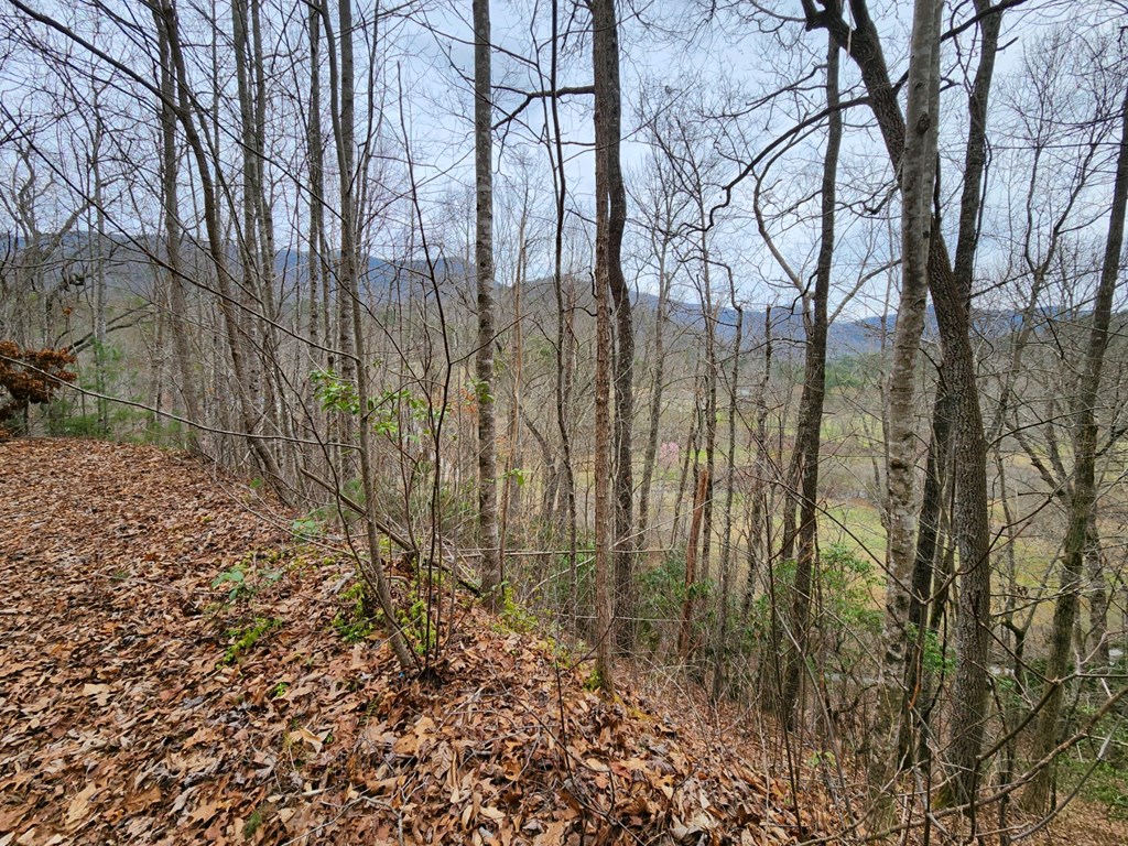 0 Bear Back Ridge LOT 21