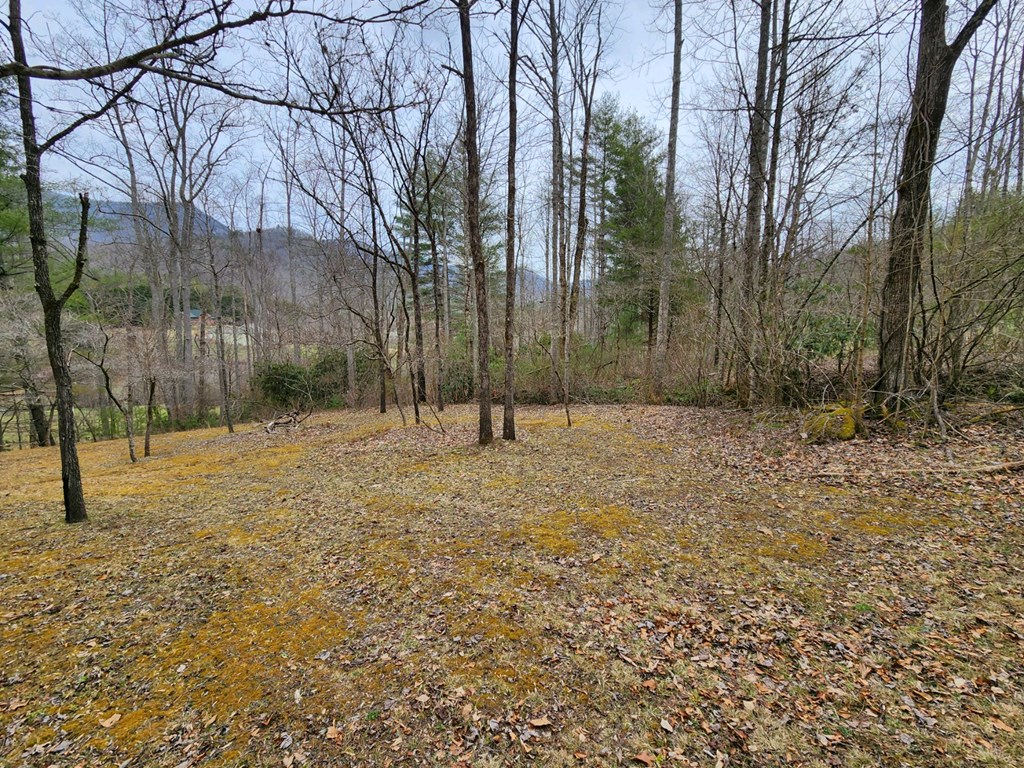 0 Bear Back Ridge LOT 21
