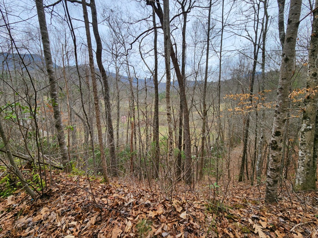 0 Bear Back Ridge LOT 21