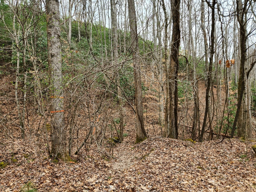 0 Bear Back Ridge LOT 21