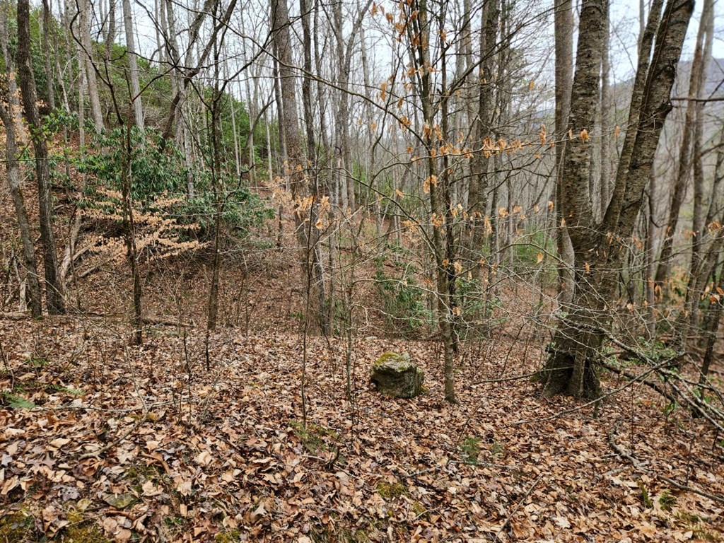 0 Bear Back Ridge LOT 21
