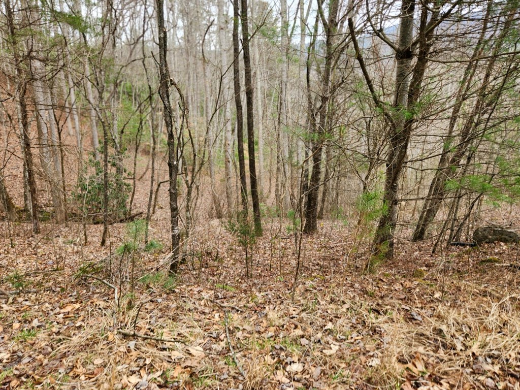 0 Bear Back Ridge LOT 21