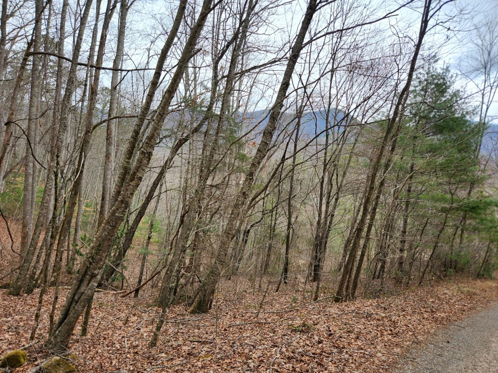 0 Bear Back Ridge LOT 21