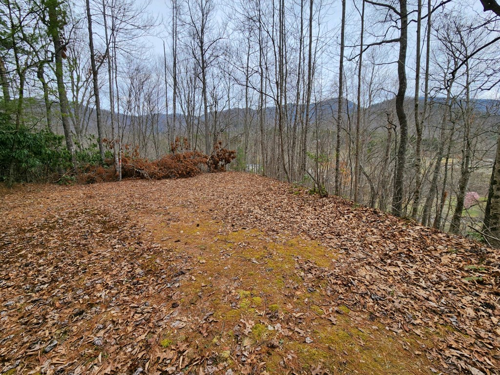 0 Bear Back Ridge LOT 21