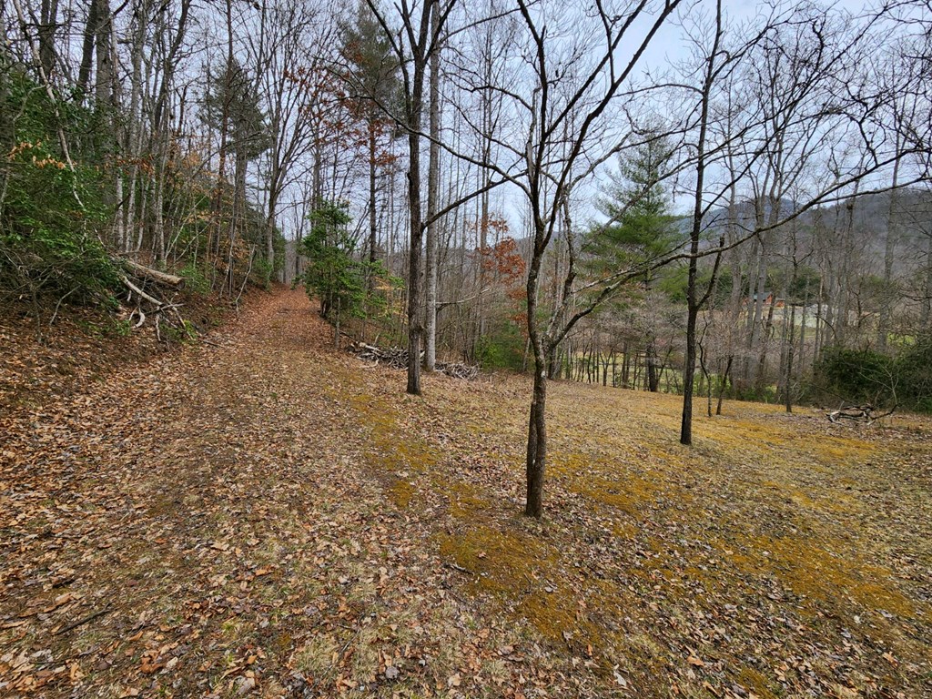 0 Bear Back Ridge LOT 21