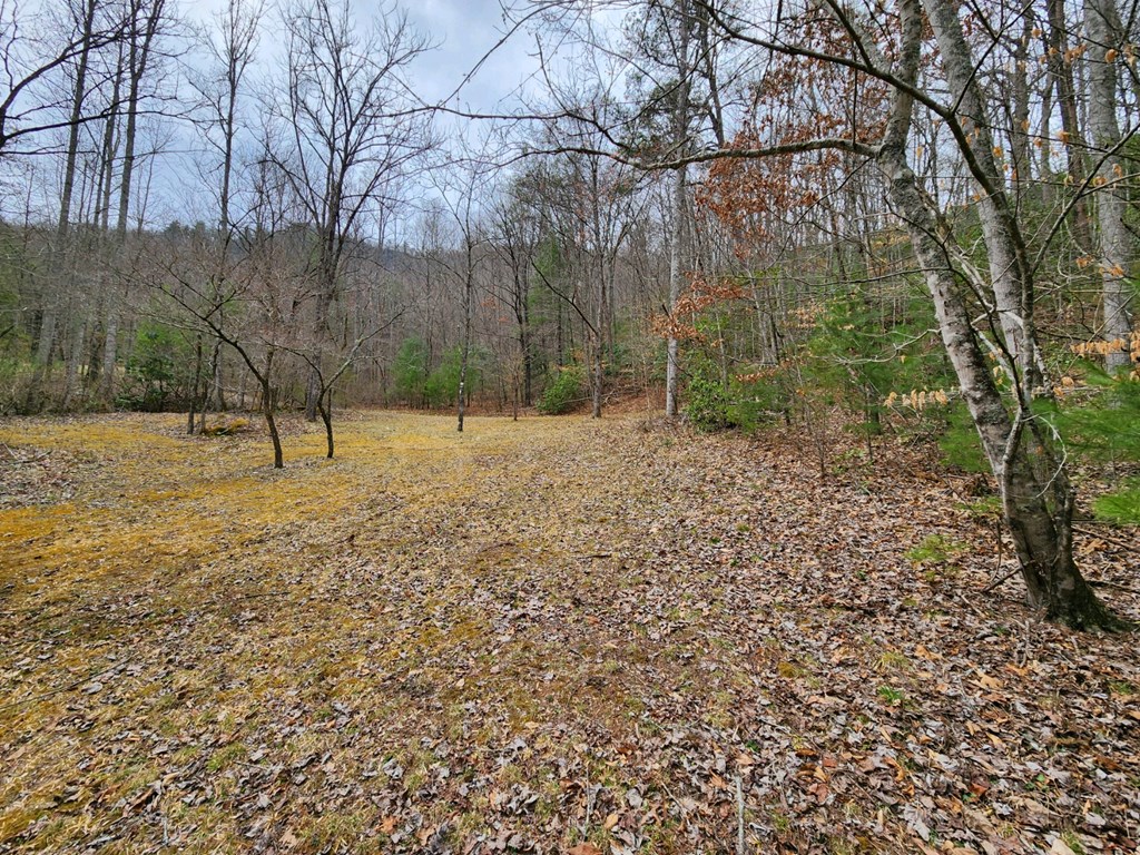 0 Bear Back Ridge LOT 21