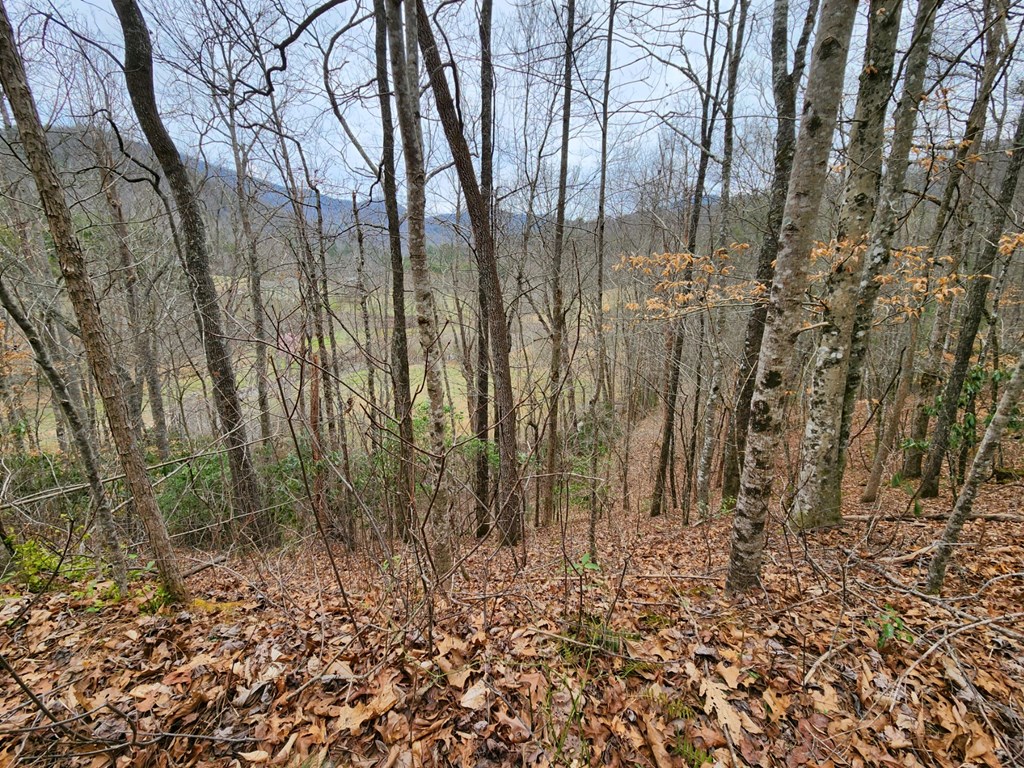 0 Bear Back Ridge LOT 21