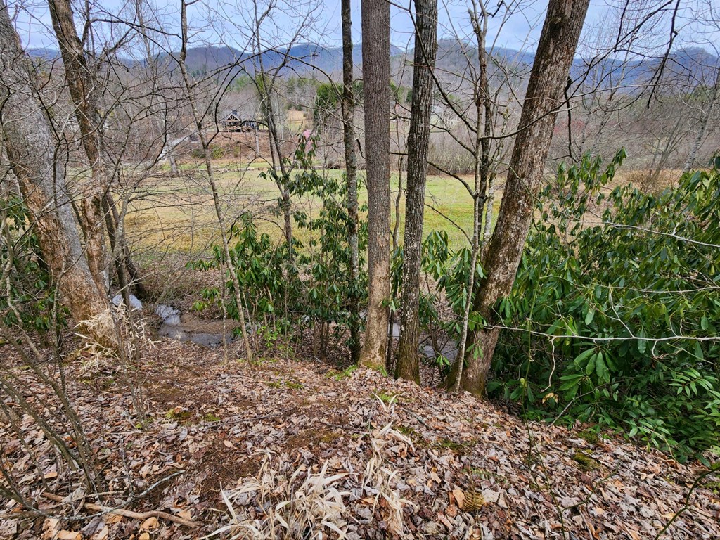 0 Bear Back Ridge LOT 21