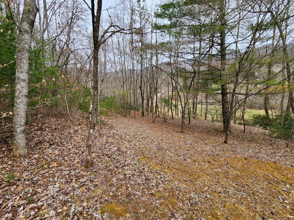 0 Bear Back Ridge LOT 21