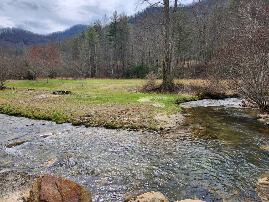 0 Bear Back Ridge LOT 21