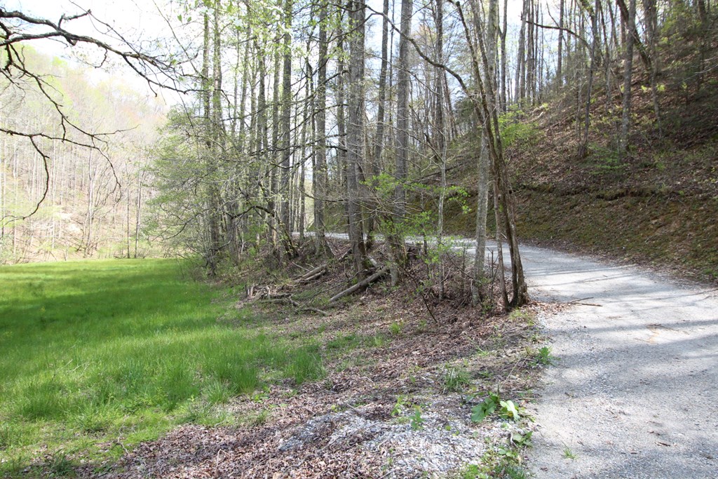 830 Hampton Branch Rd