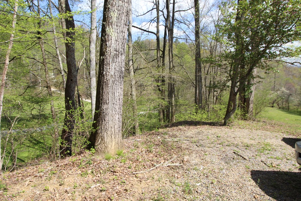 830 Hampton Branch Rd