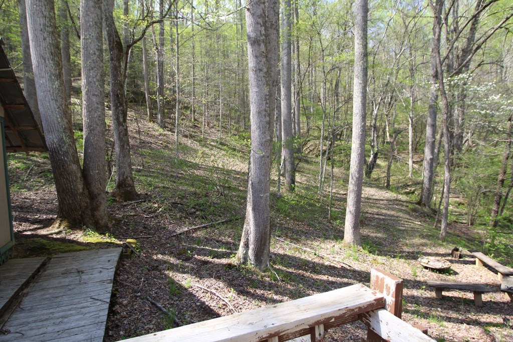 830 Hampton Branch Rd