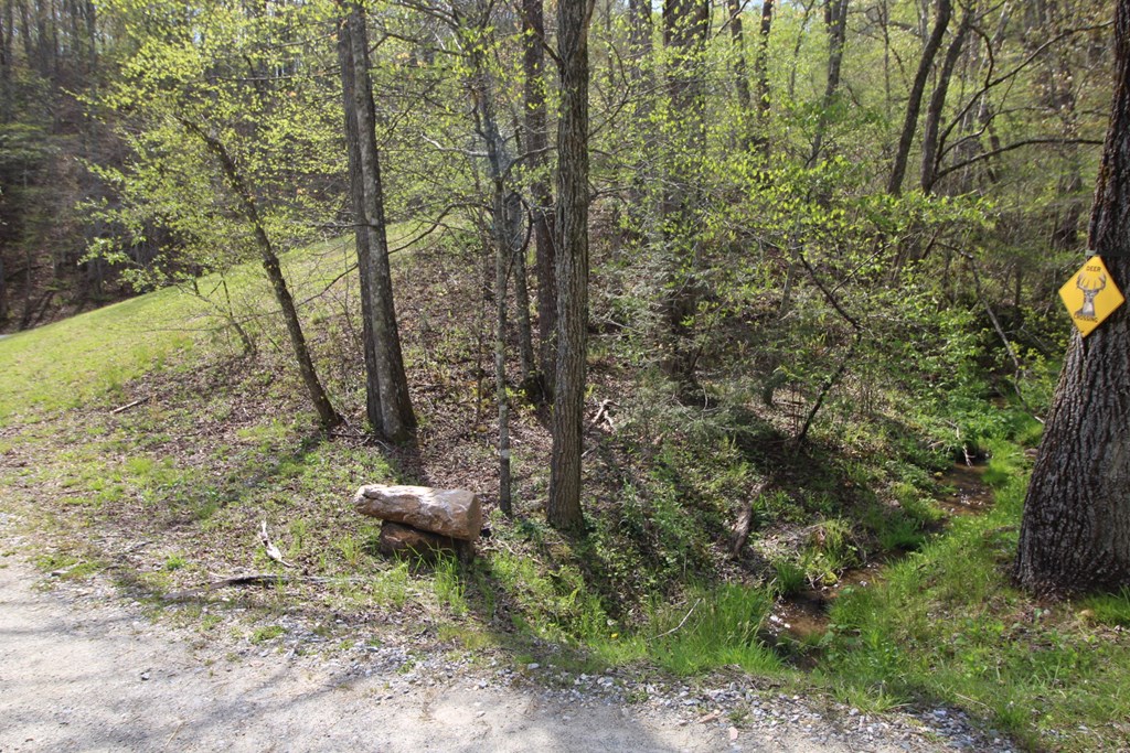 830 Hampton Branch Rd