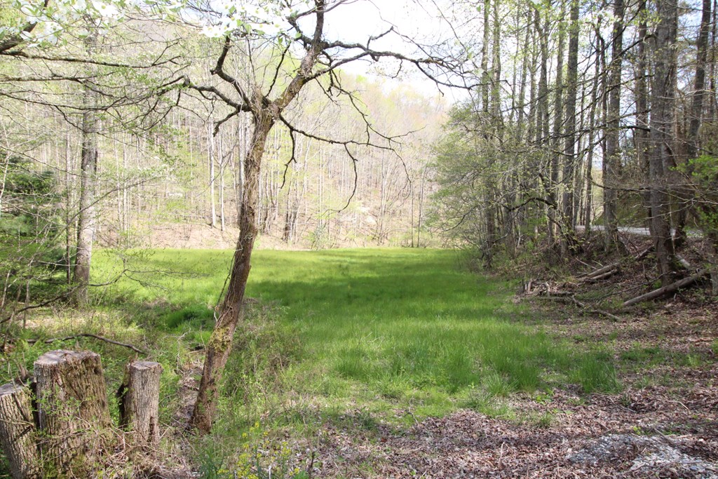 830 Hampton Branch Rd