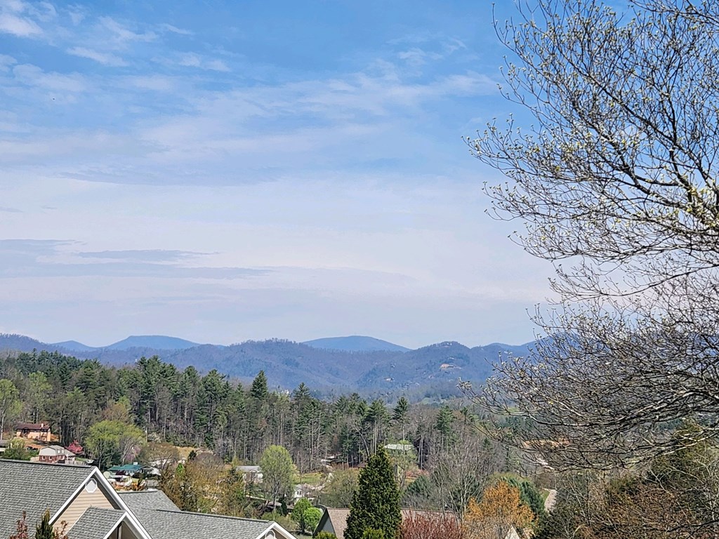 0 Jackson Heights LOT 31