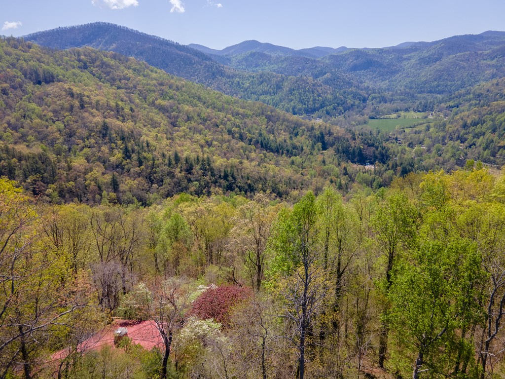 441 Mountain Laurel Dr