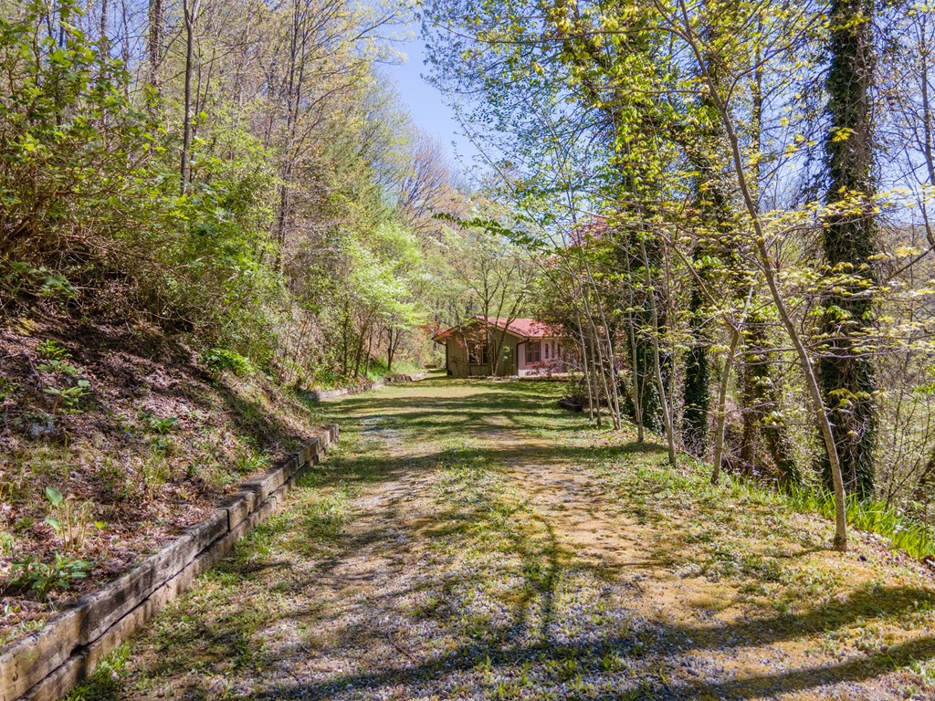 441 Mountain Laurel Dr