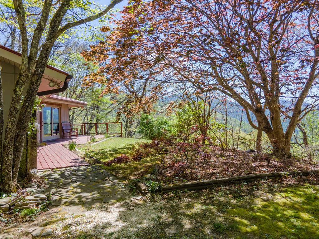 441 Mountain Laurel Dr