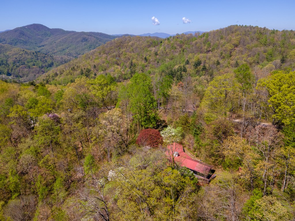 441 Mountain Laurel Dr