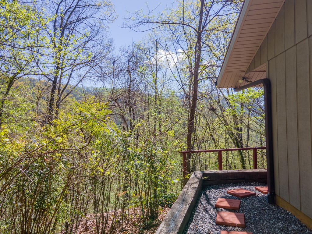 441 Mountain Laurel Dr