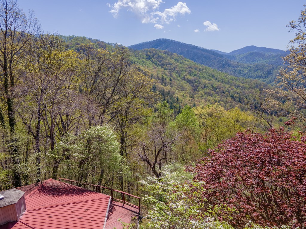 441 Mountain Laurel Dr
