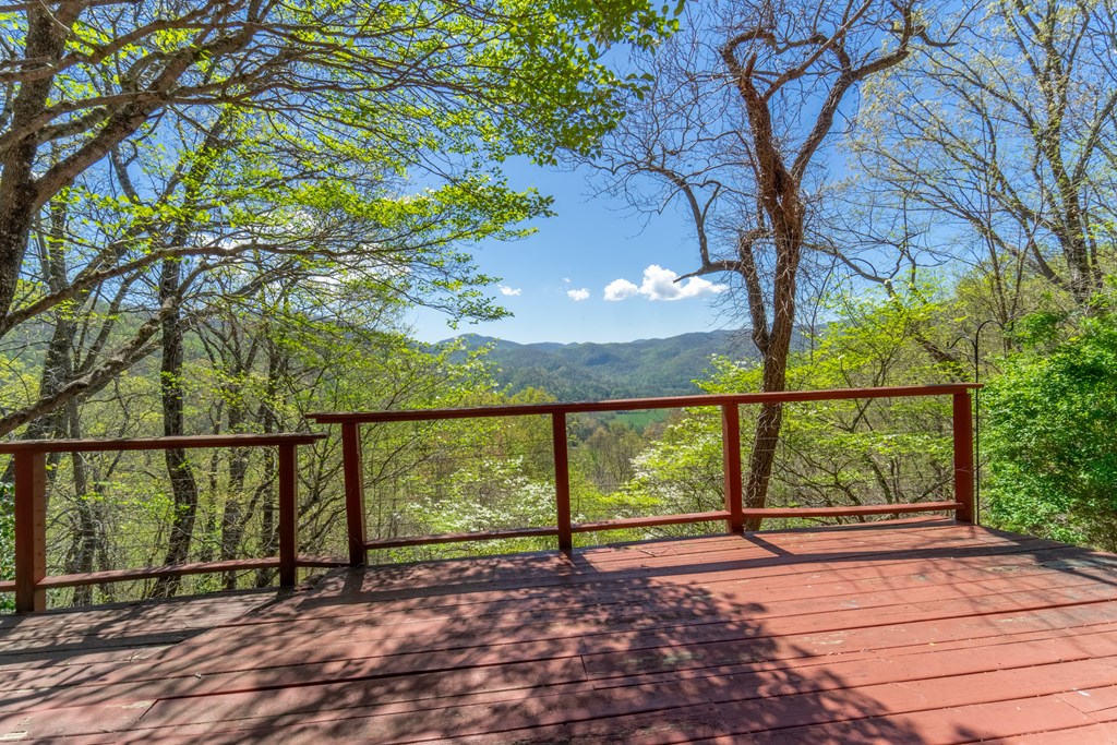 441 Mountain Laurel Dr