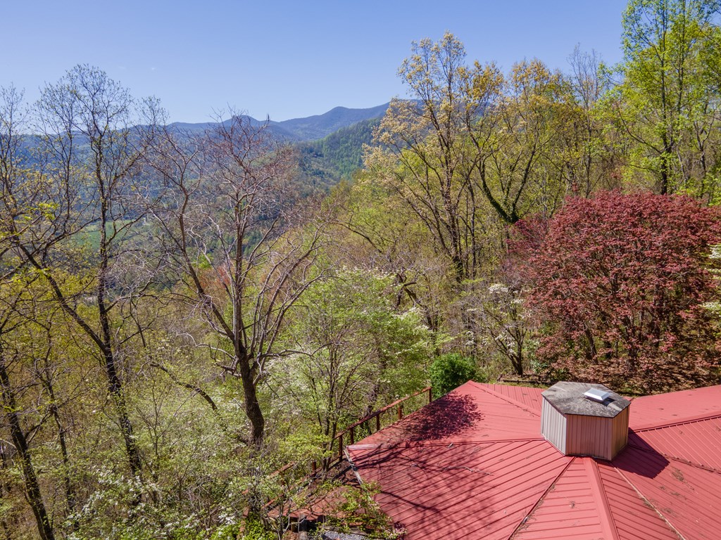 441 Mountain Laurel Dr