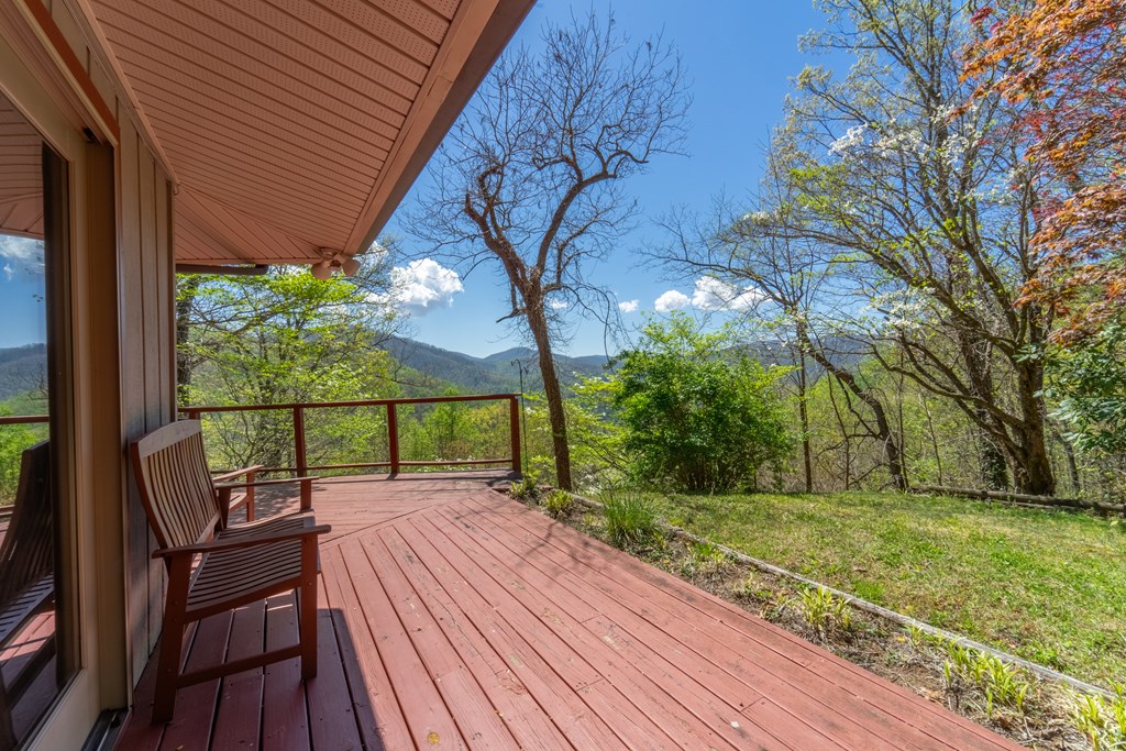 441 Mountain Laurel Dr