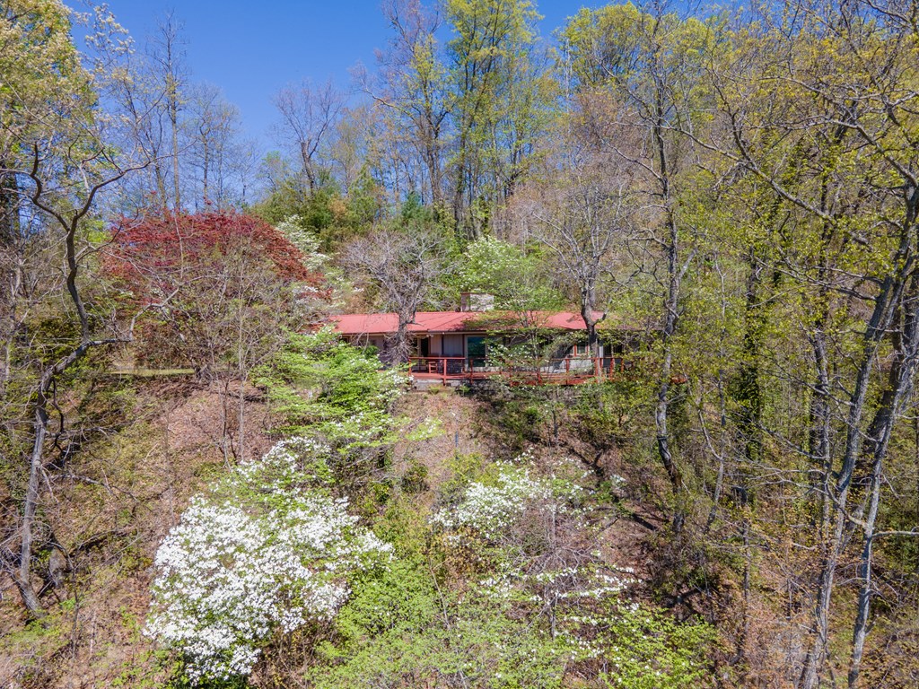 441 Mountain Laurel Dr