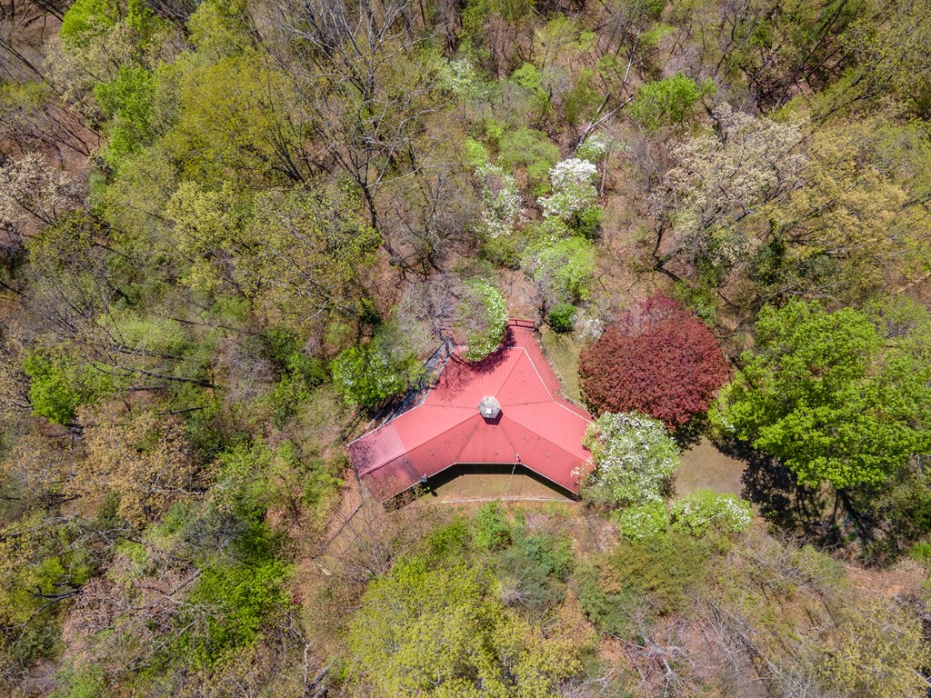 441 Mountain Laurel Dr