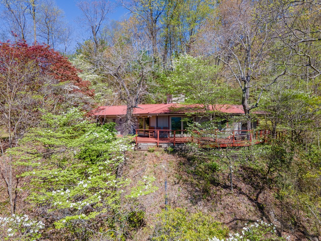 441 Mountain Laurel Dr