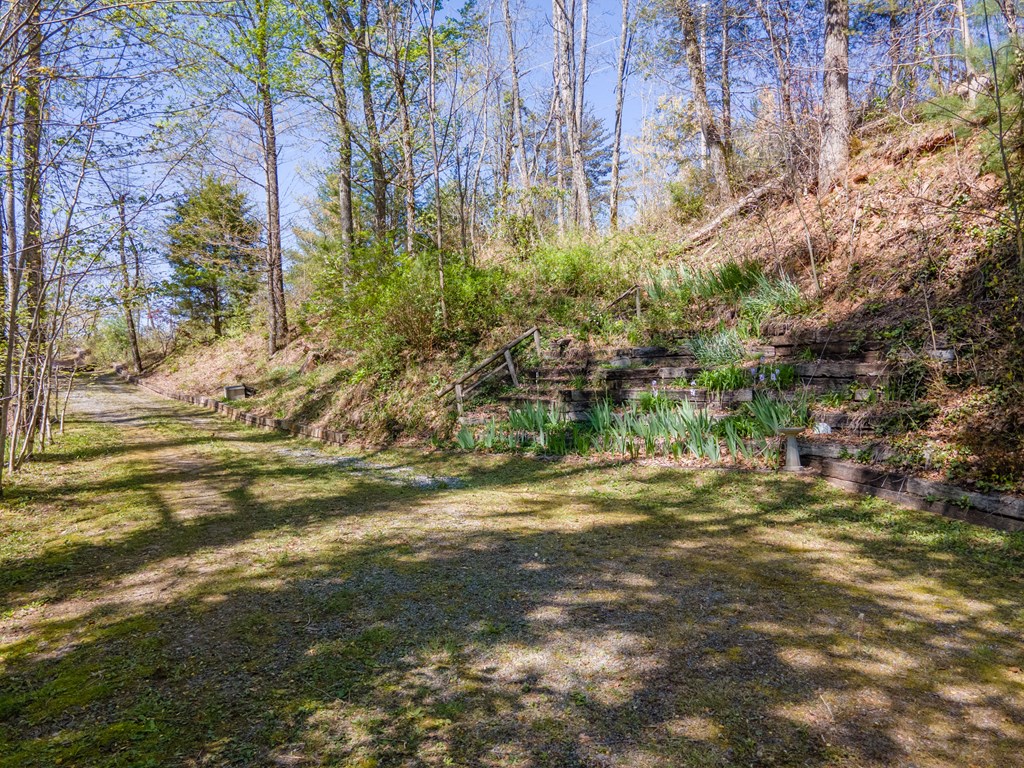 441 Mountain Laurel Dr
