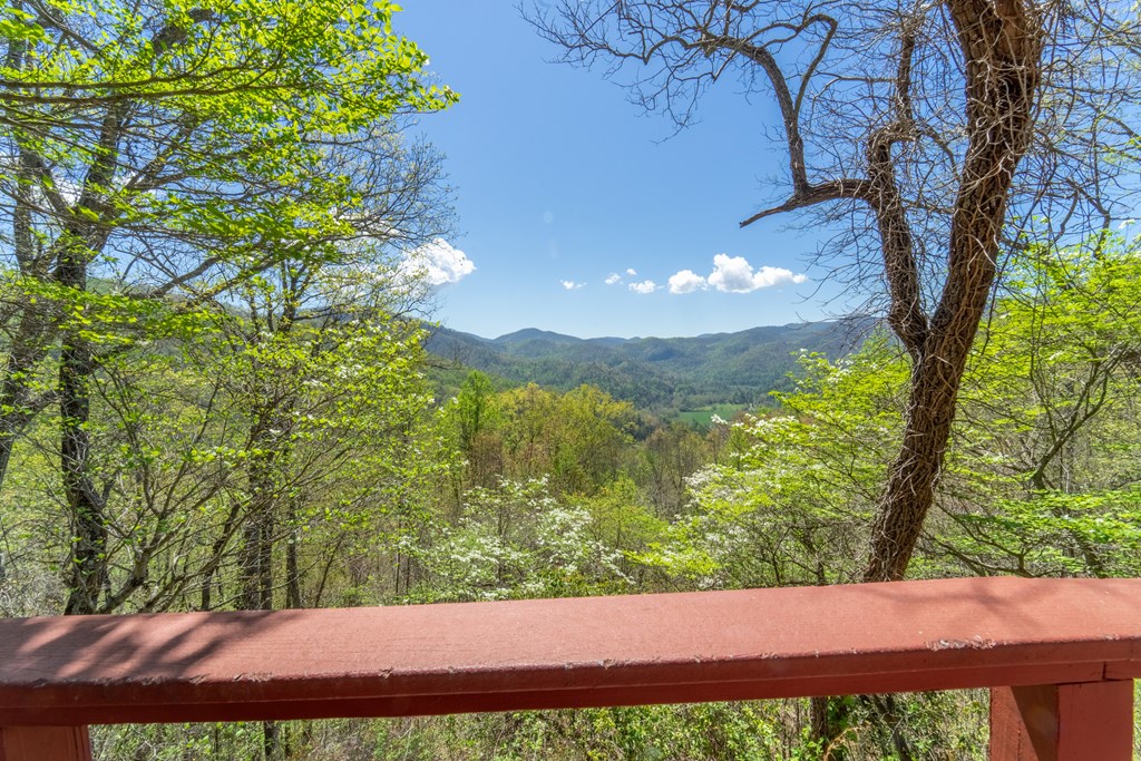 441 Mountain Laurel Dr
