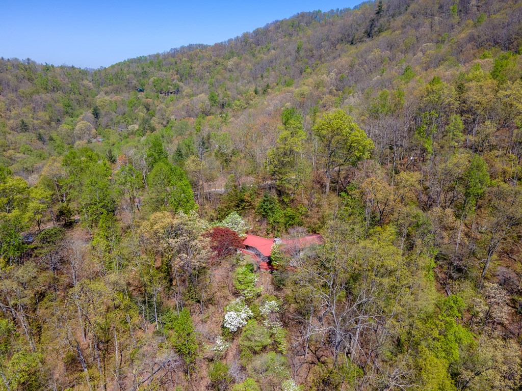 441 Mountain Laurel Dr