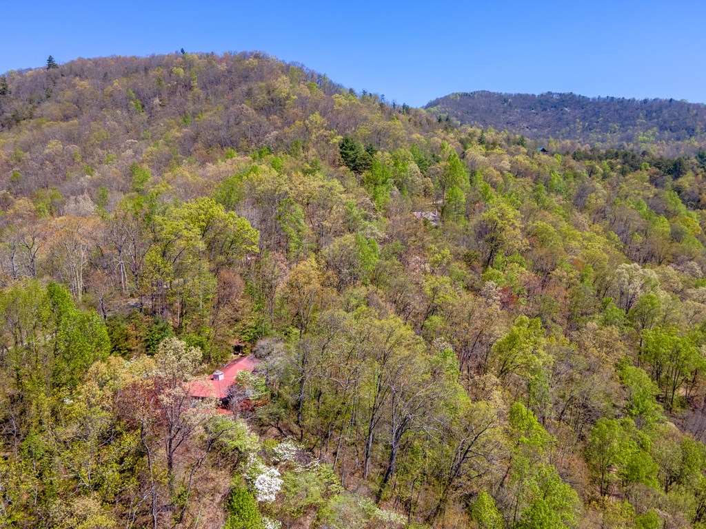 441 Mountain Laurel Dr