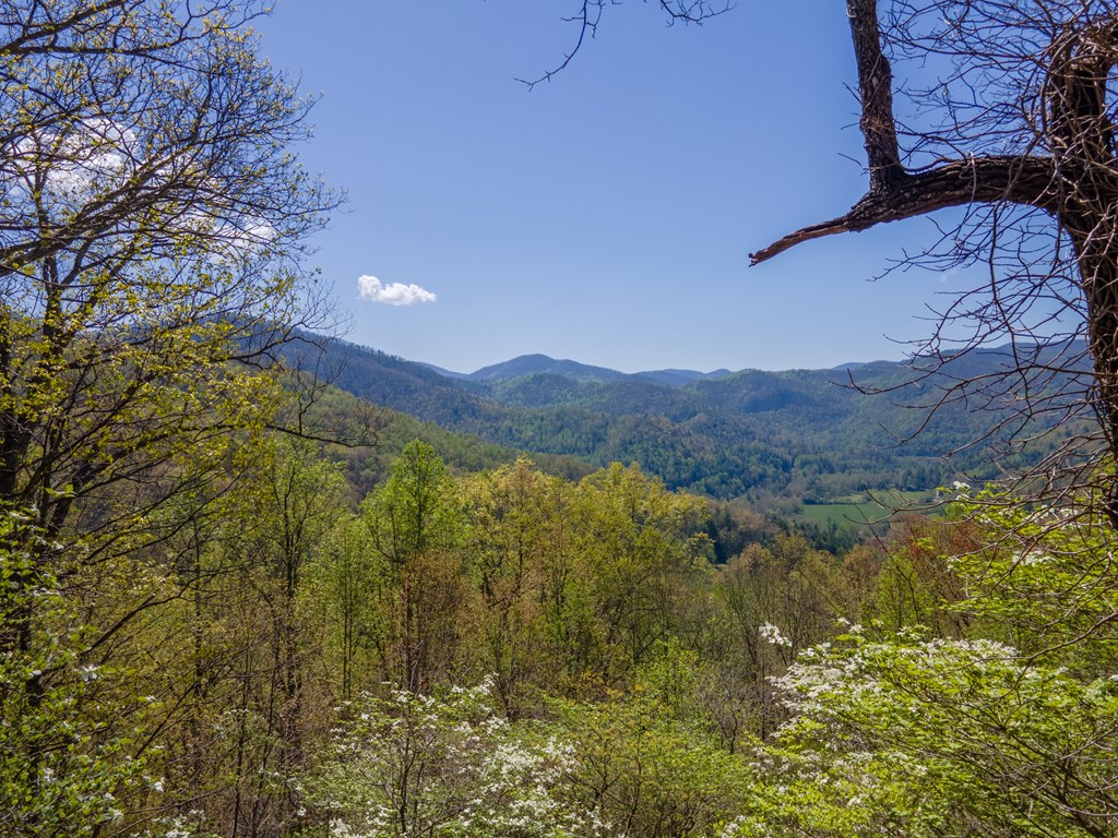 441 Mountain Laurel Dr
