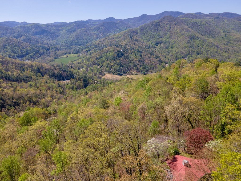 441 Mountain Laurel Dr