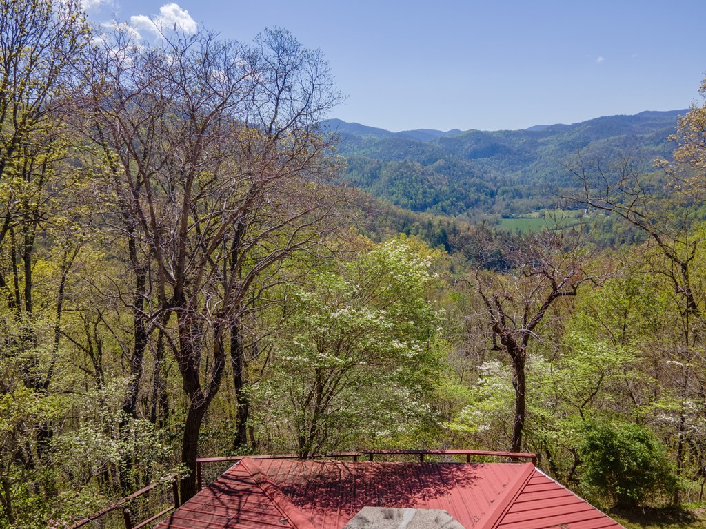441 Mountain Laurel Dr