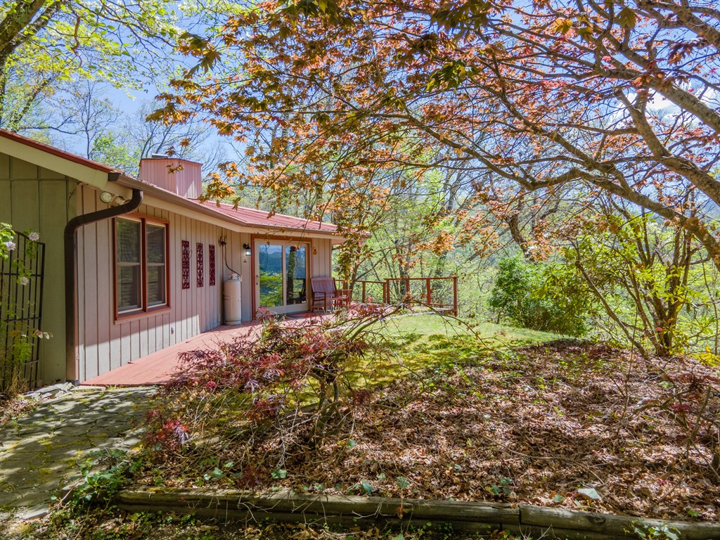441 Mountain Laurel Dr