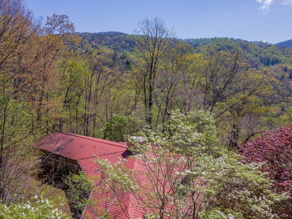 441 Mountain Laurel Dr