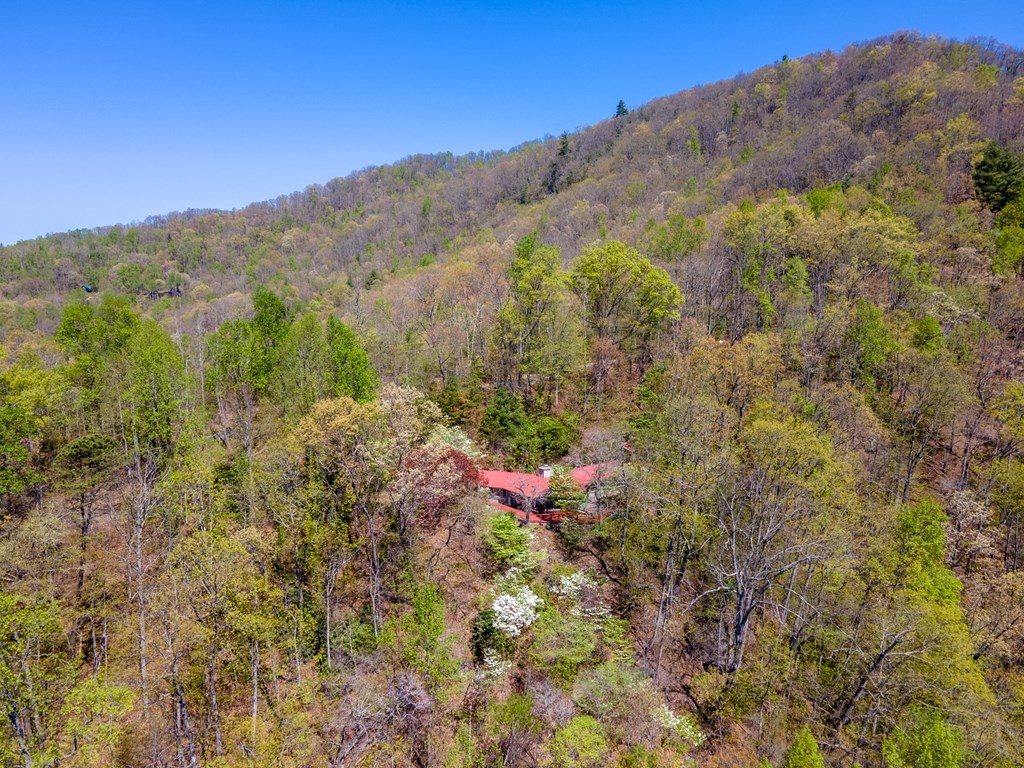 441 Mountain Laurel Dr