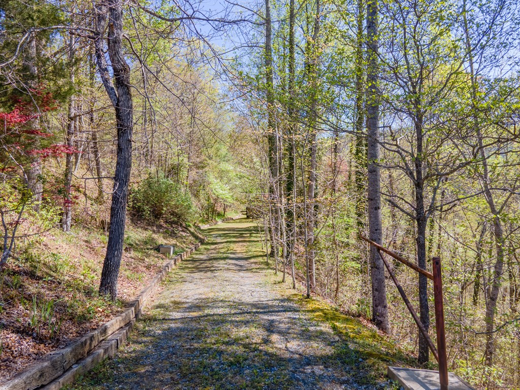 441 Mountain Laurel Dr