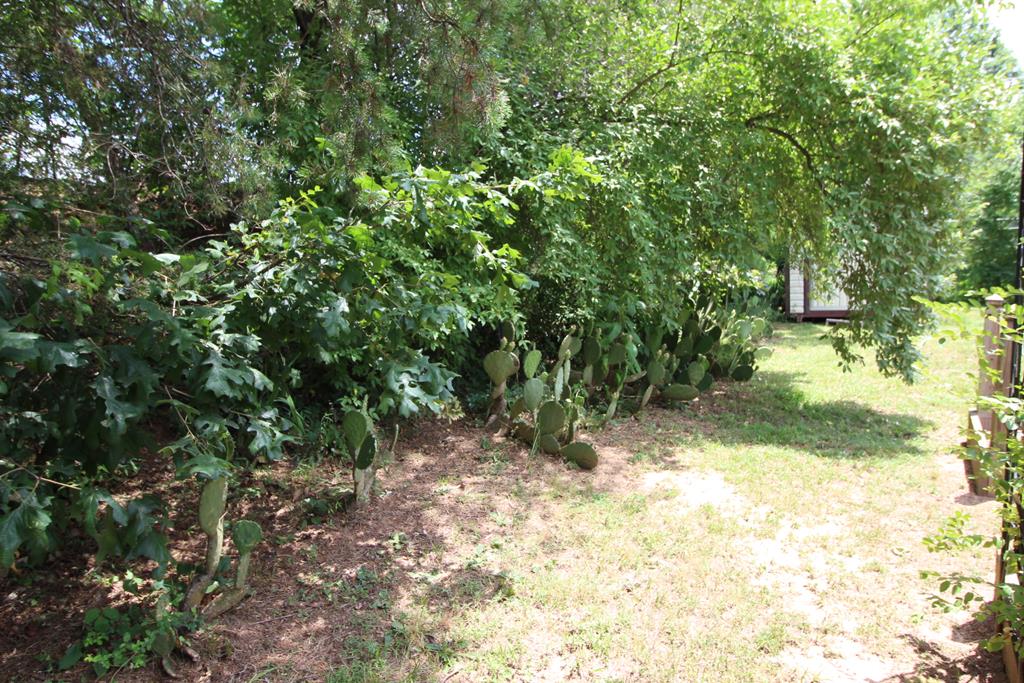 24 Rabbit Creek Rd
