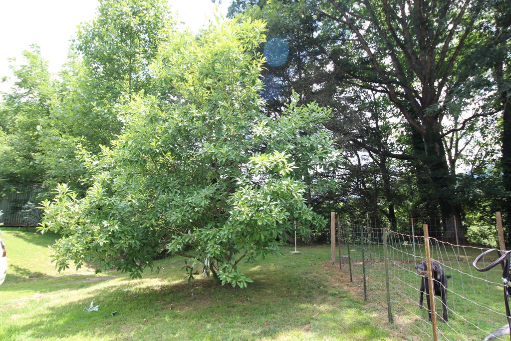 24 Rabbit Creek Rd